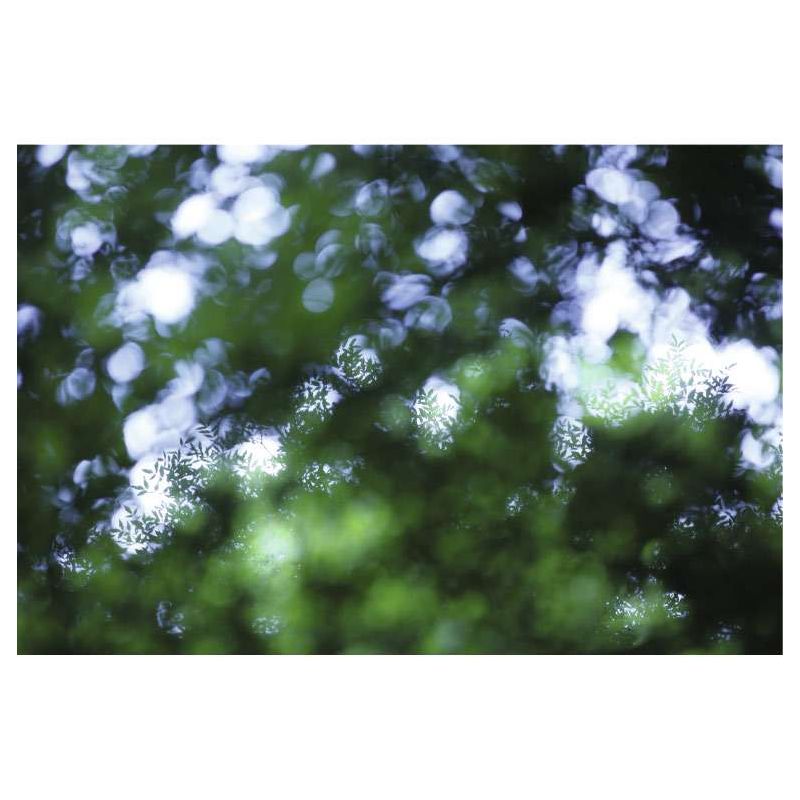 GREEN FOLIAGE canvas print - Green canvas print