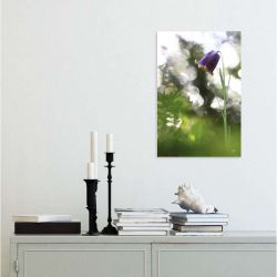 PYRENEAN FRITILLARY canvas print