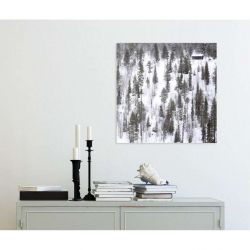 LAPLAND canvas print