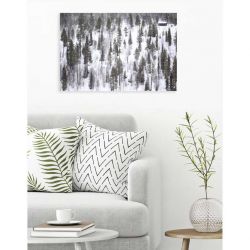 LAPLAND canvas print