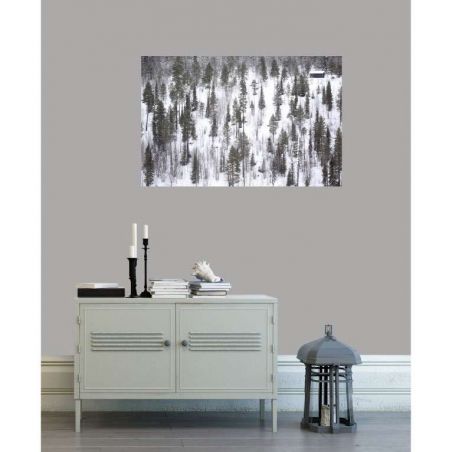 LAPLAND canvas print