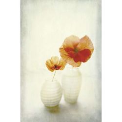 INDOOR ORANGE LIGHTS canvas print