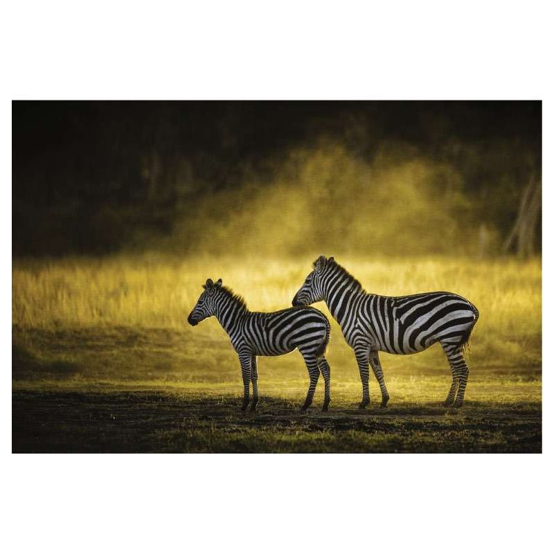 MASAI MARA canvas print - Xxl canvas prints