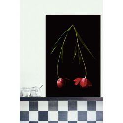 TULIPA canvas print