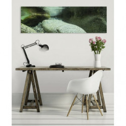 CANELLA canvas print