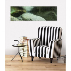 CANELLA canvas print