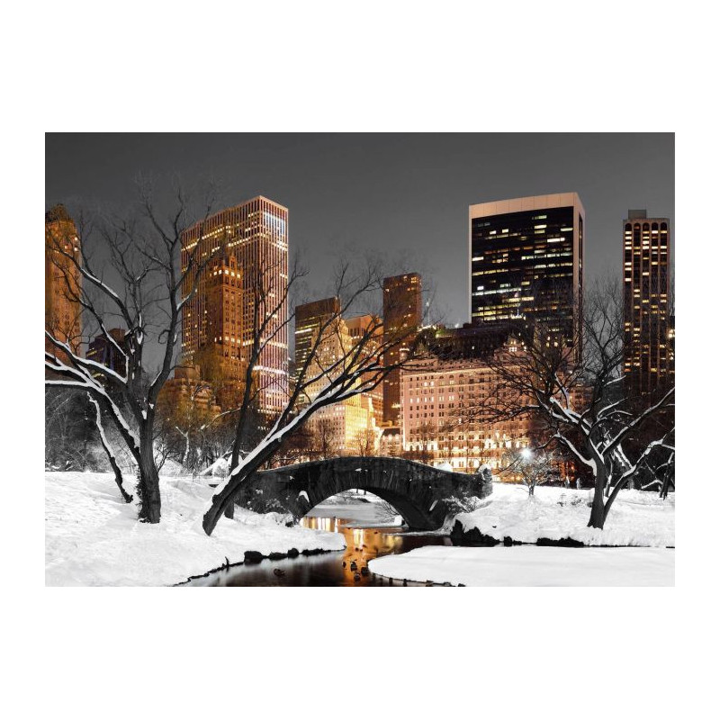 CENTRAL PARK LIGHTS canvas print - Living room canvas print