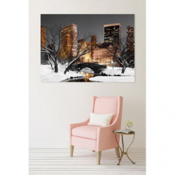 CENTRAL PARK LIGHTS canvas print