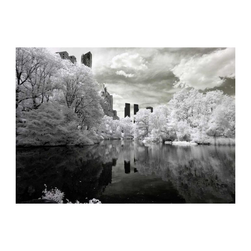 CENTRAL PARK B&W Poster - Black and white posters
