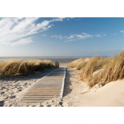 PATH OF THE DUNES  Canvas print