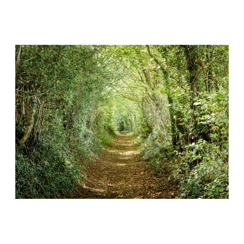 GREEN ROAD Canvas print - Landscape and nature canvas