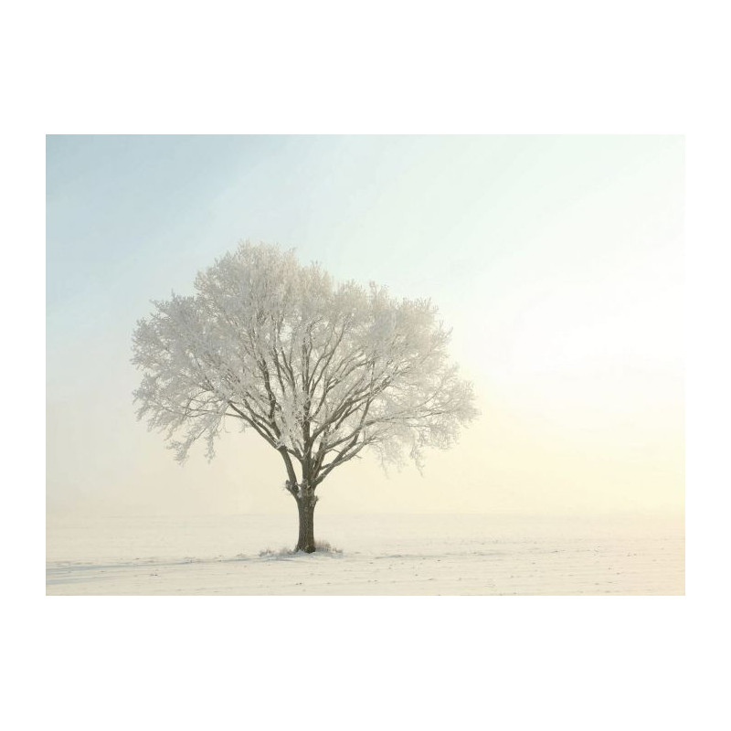 WHITE OAK canvas print - Office canvas print