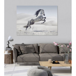 HORSE IN THE DESERT Canvas print