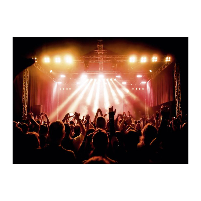 CONCERT canvas print - Xxl canvas prints