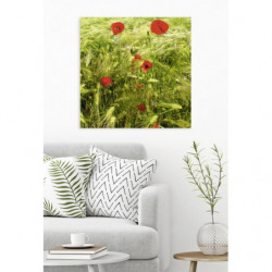 POPPIES AND BLES canvas print