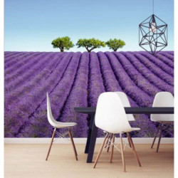 COLOUR LAVENDER wallpaper