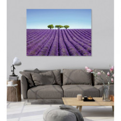 COLOUR LAVENDER canvas print