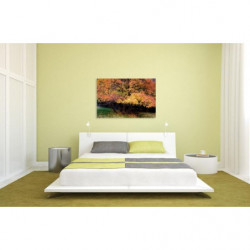 AUTUMN COLOURS canvas print