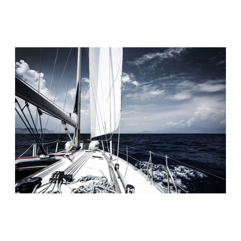 OCEAN RACING Canvas print - Landscape and nature canvas