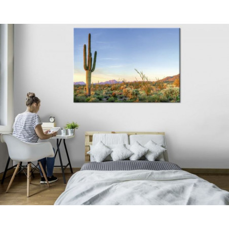 SORONA DESERT canvas print