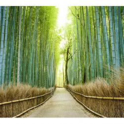 BAMBOO ALLEY Poster