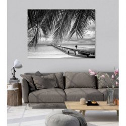 FIDJI B&W Canvas print