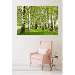 BIRCH FOREST Canvas print