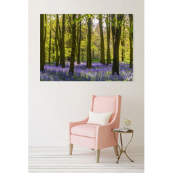 HYACINTH FOREST Canvas print