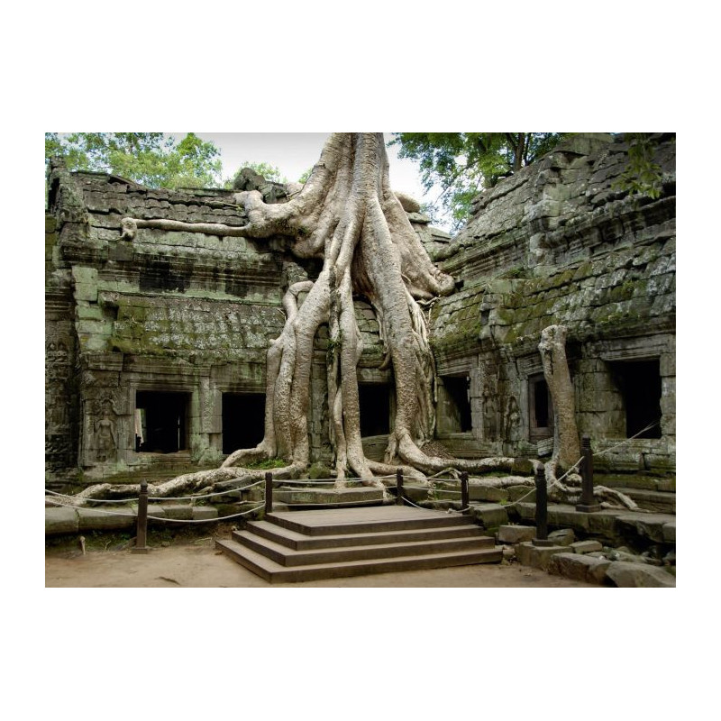 ANGKOR REMAINS canvas print - Xxl canvas prints