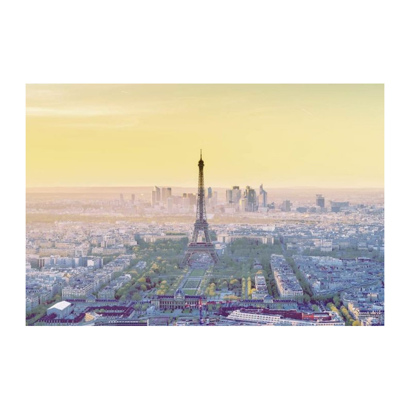 GRAPHIC VIEW PARIS wallpaper - Paris wallpaper 