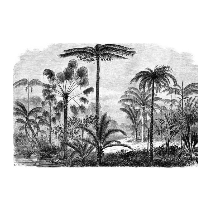 PALM TREE ENGRAVING Wallpaper - Black and white wallpaper
