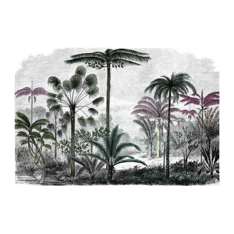 COLOURED PALM TREE ENGRAVING  Wallpaper - Black and white wallpaper