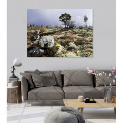 IN WILD canvas print