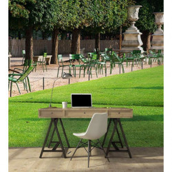 TUILERIES GARDEN wallpaper