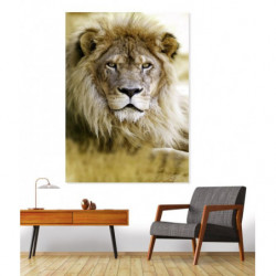 LION Canvas print