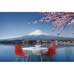 MOUNT FUJI Poster