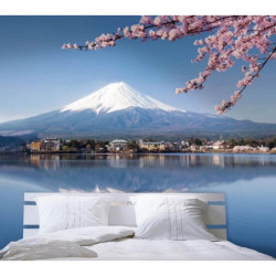 MOUNT FUJI Poster