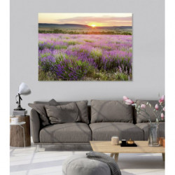 DAWN IN PROVENCE Canvas print