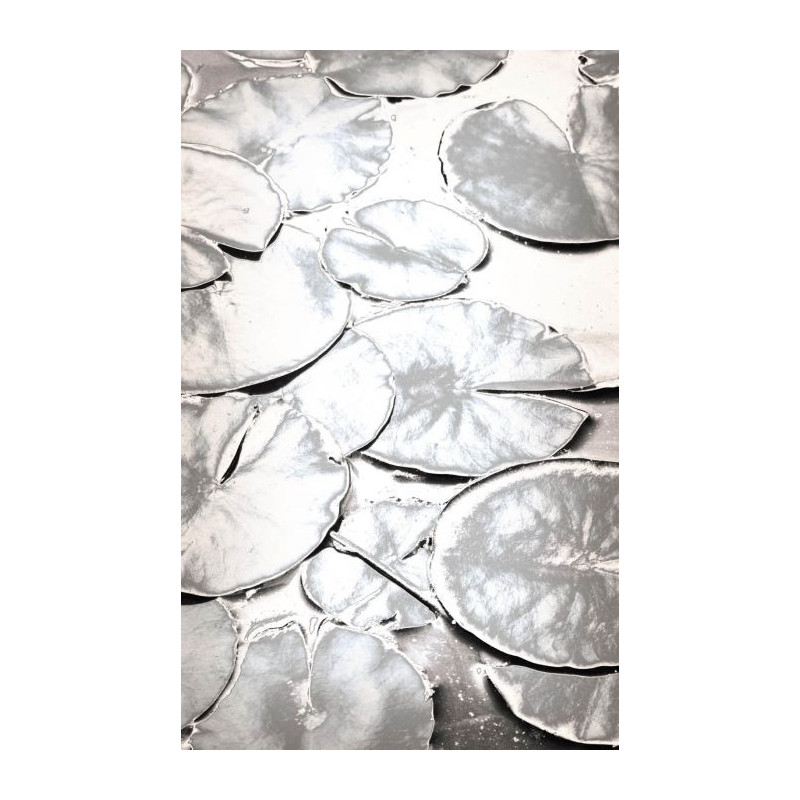 SILVER WATER LILY wallpaper - Grey wallpaper