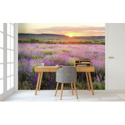 DAWN IN PROVENCE Poster