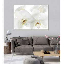 ORCHIDEE canvas print