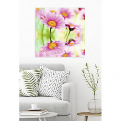 PINK DAISIES Canvas print