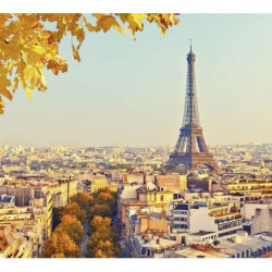 AUTUMN IN PARIS Wallpaper