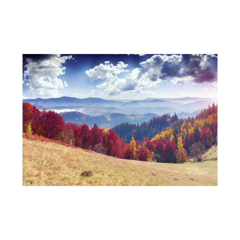 AUTUMN LANDSCAPE Wallpaper - Panoramic wallpaper