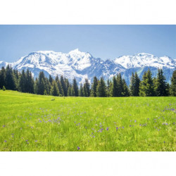 MONT BLANC LANDSCAPE canvas print