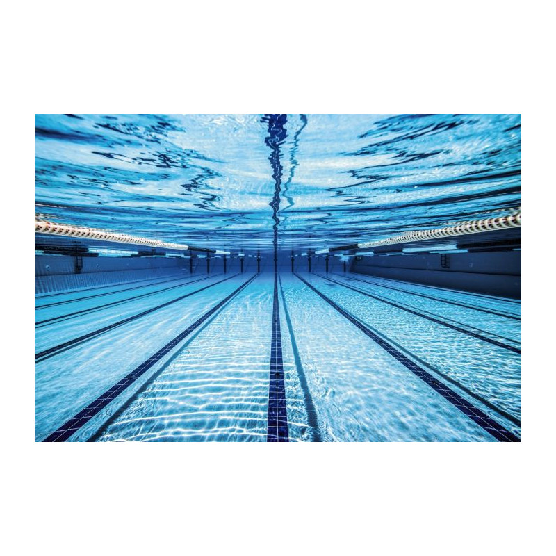 SWIMMING POOL poster - Panoramic poster