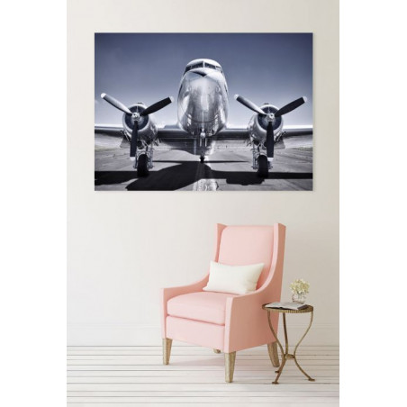 PROPELLER PLANE Canvas print