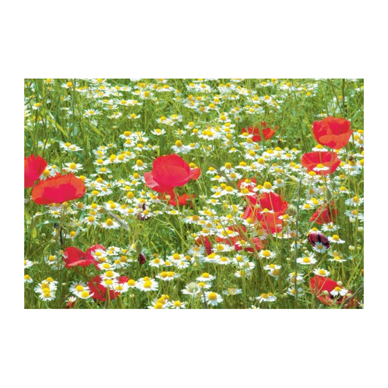 FLOWERING PRES Canvas print - Flower canvas print