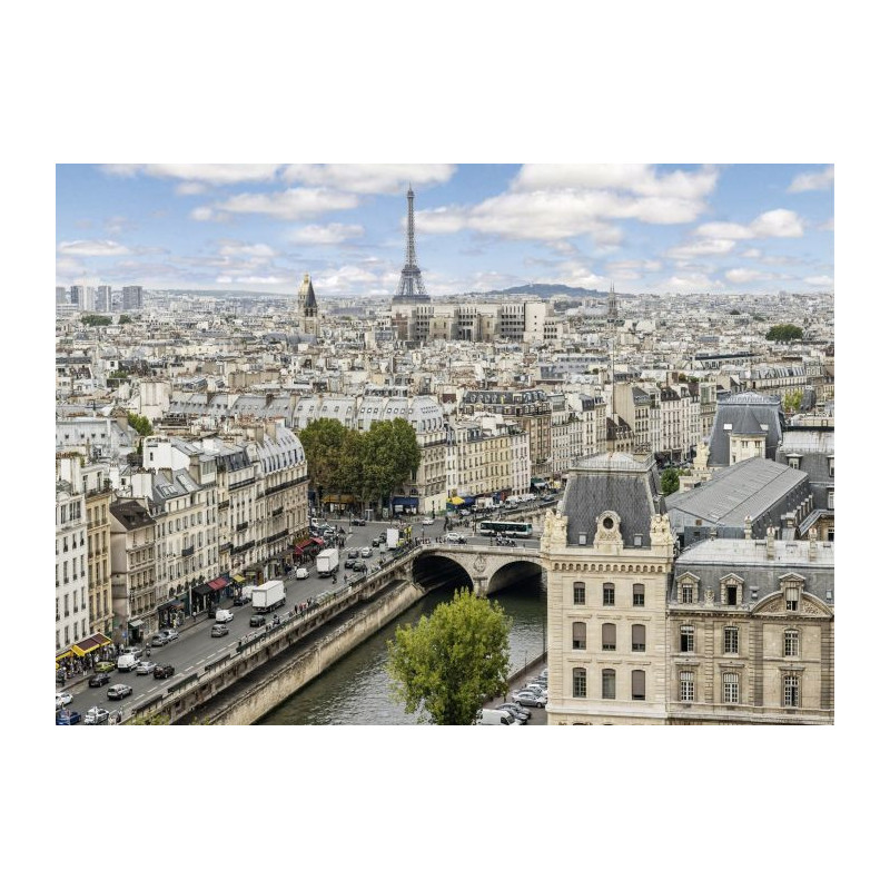 SPRING IN PARIS Canvas print - Office canvas print