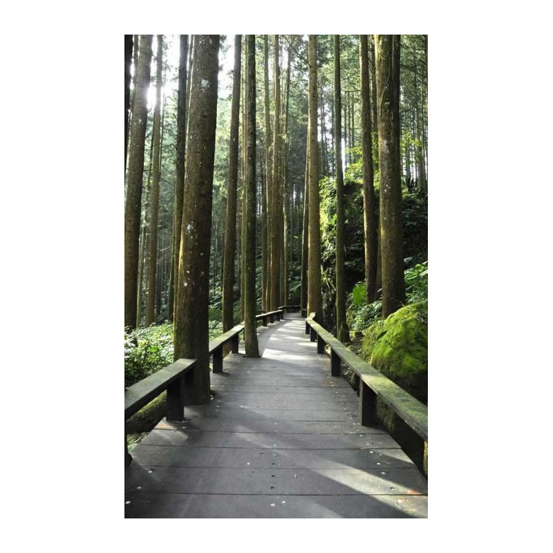 CANADIAN WALKWAY wall hanging - Nature wall hanging